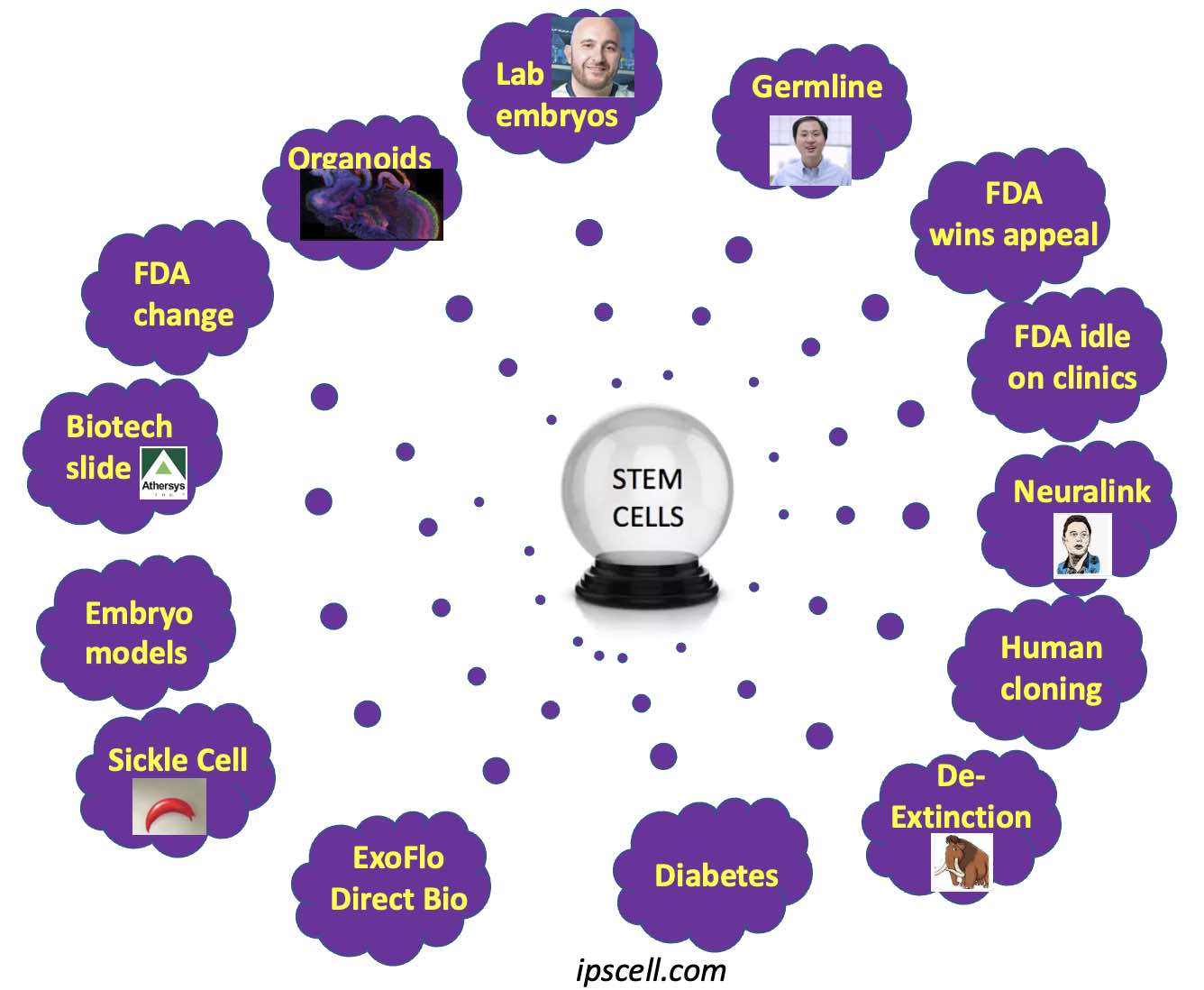 2023 stem cell & regenerative medicine predictions The Niche